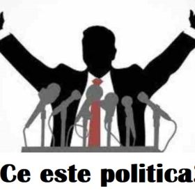 Ce este politica?
