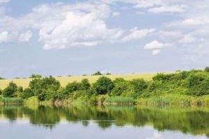 Lacul Cernica: Refugiul Natural al Bucureștiului si Județului Ilfov