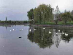 Chitila: Parcul Dendrologic Chitila – turist în jurul capitalei!