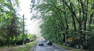 Noua școală din Corbeanca are 20 de săli și o capacitate proiectată de 1.000 de elevi