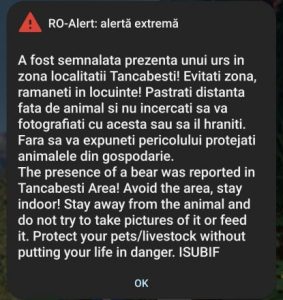 Snagov: Urs zărit din nou în județul Ilfov! Al doilea incident în 5 zile declanșează RO-Alert!