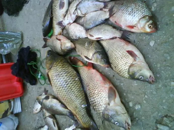 balti de pescuit langa bucuresti 2023