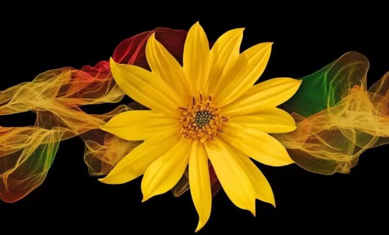 Ce inseamna cand visezi flori? Visezi flori multe sau colorate?