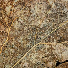 Photo Map of Corbeanca