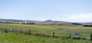 Comuna Corbeanca: O destinație de vacanță perfectă