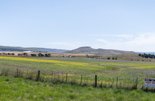 Photo Rural landscape