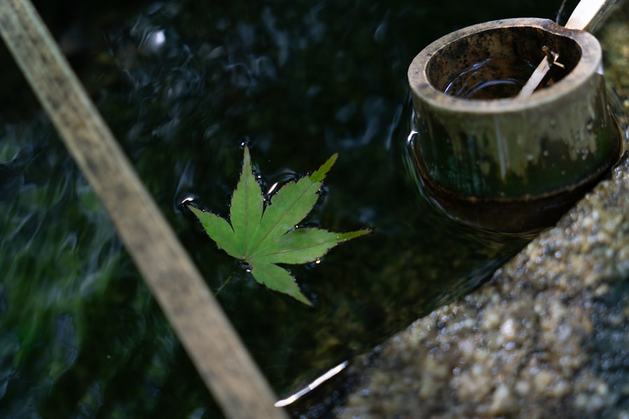 Purity