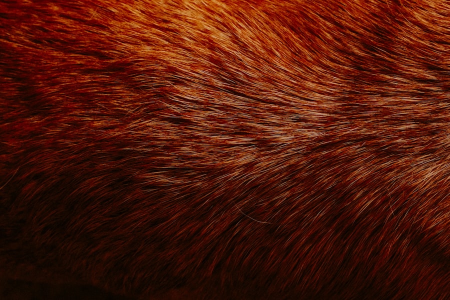 itchy scalp