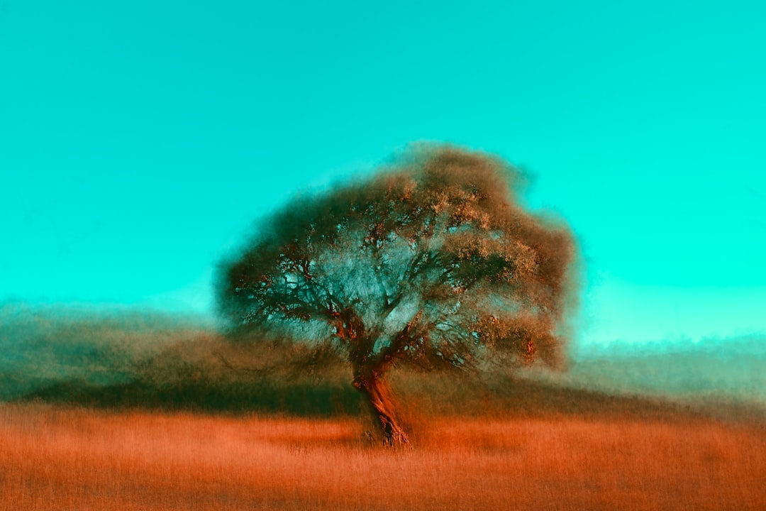 Photo dreaming
