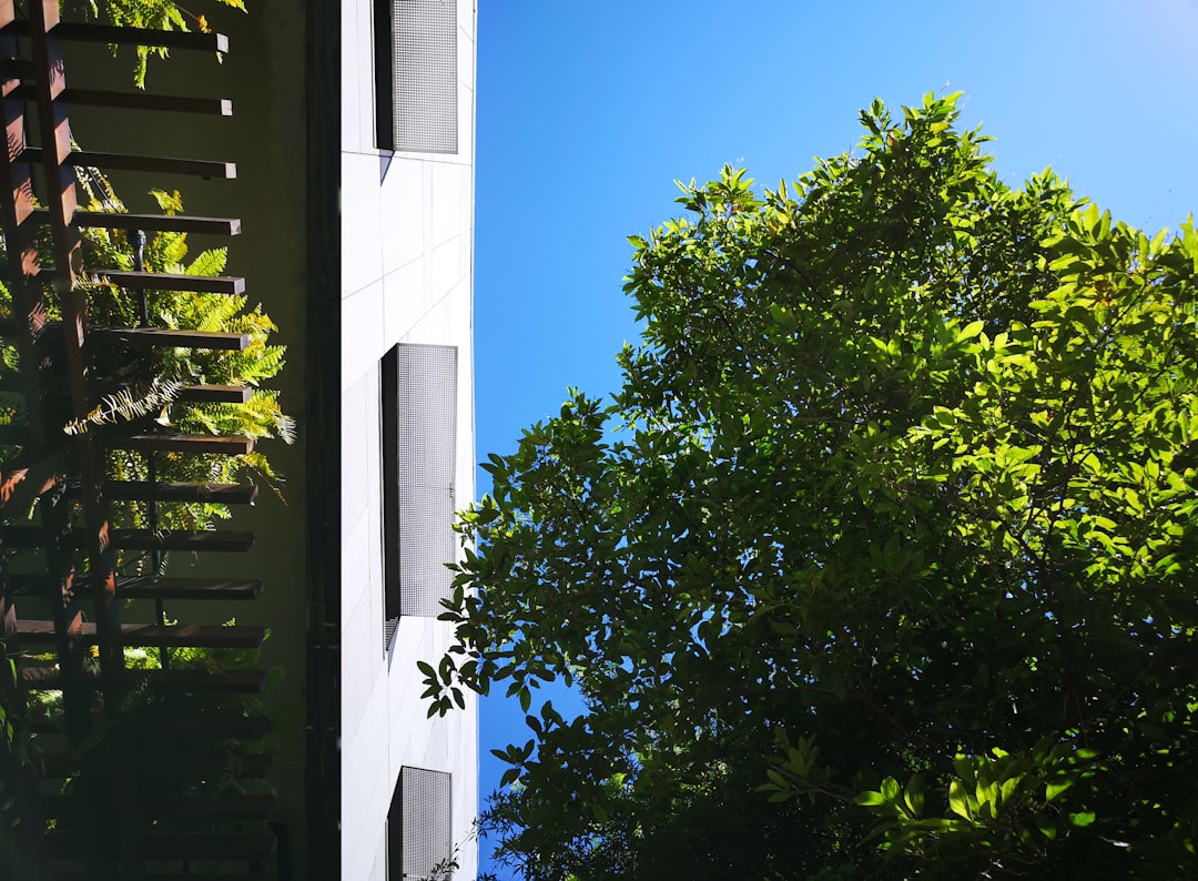Photo Visual comparison