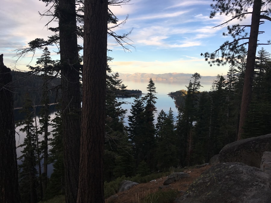 Photo Wilderness landscape