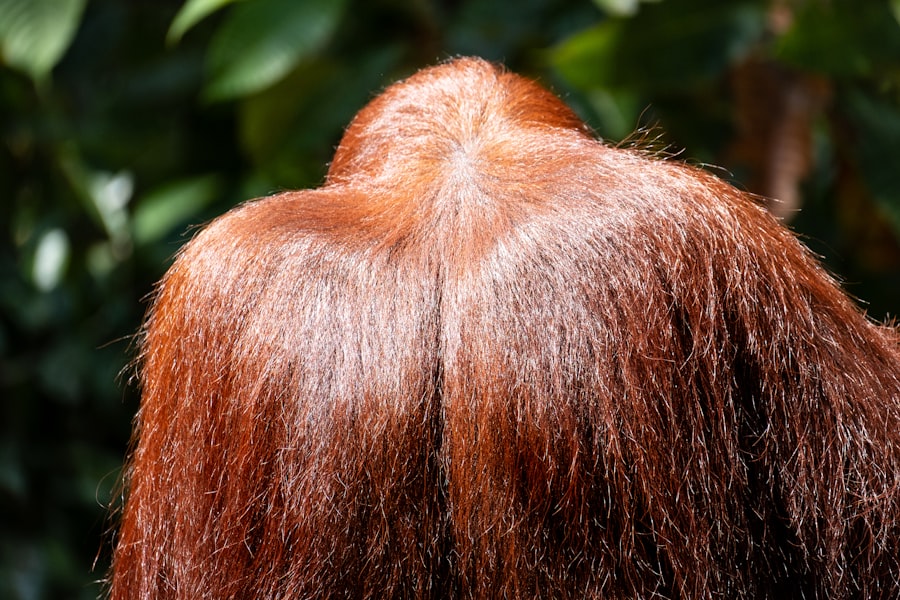 Photo itchy scalp