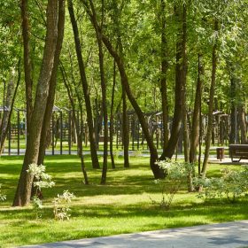 Photo Ilfov Parks and Recreation Areas