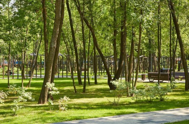 Photo Ilfov Parks and Recreation Areas