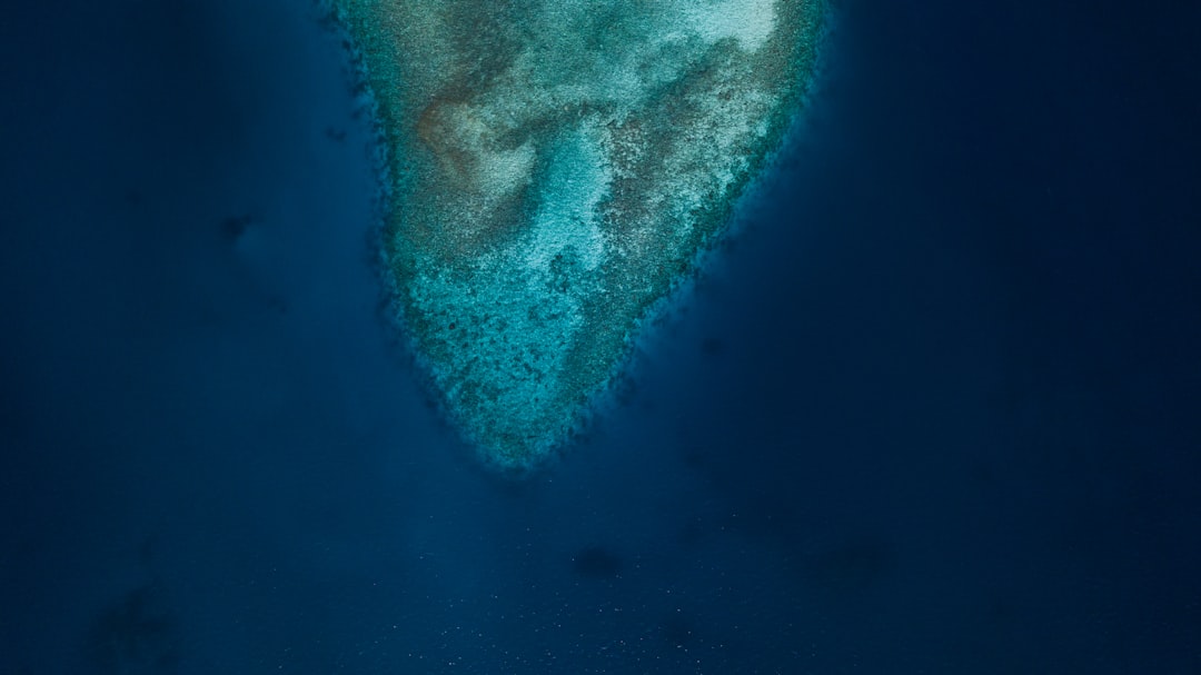 Photo Tunari