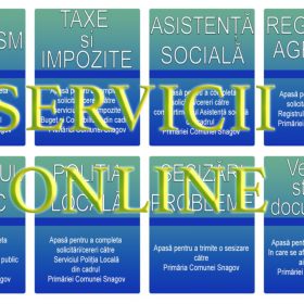 Platformele online ale primăriilor din Ilfov — testul accesibilității - Snagov