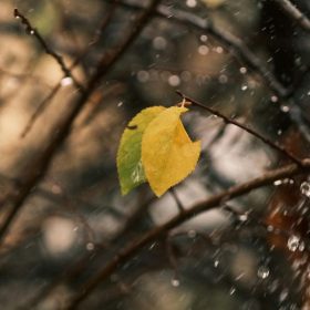 Activități cu copiii în weekend ploios de toamnă în Ilfov