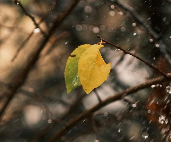 Activități cu copiii în weekend ploios de toamnă în Ilfov