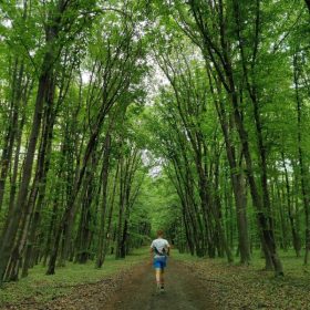 Alergat în parcurile din Ilfov