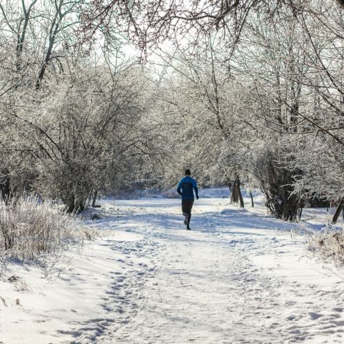 Alergat la temperaturi sub zero în Ilfov- Ghid pentru alergătorii determinați