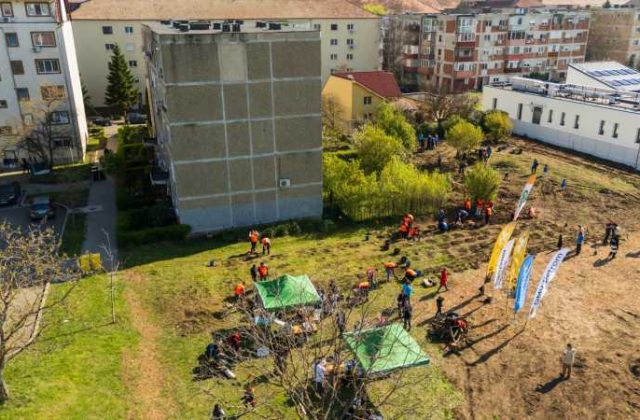 CJ Ilfov propune patrule de noapte la Măgurele pentru a opri abandonul organizat de câini