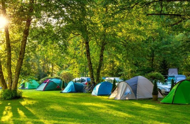 Camping în Ilfov