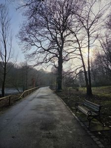 Ce să faci în Ilfov în prima zi cu soare după iarnă
