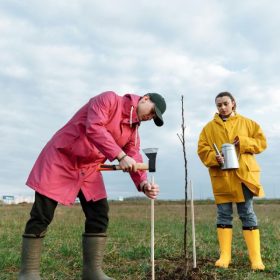 Grădinăritul de toamnă în Ilfov - Ce plantezi înainte de primul îngheț