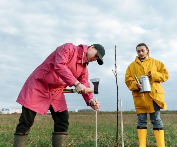 Grădinăritul de toamnă în Ilfov - Ce plantezi înainte de primul îngheț