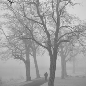 Mersul pe jos în ceata deasă de iarnă în Ilfov