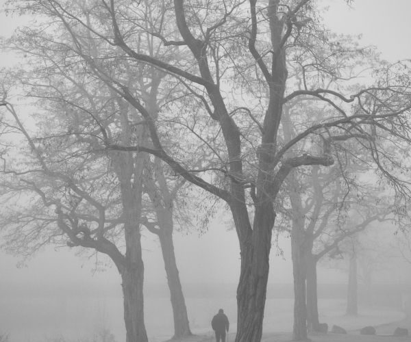 Mersul pe jos în ceata deasă de iarnă în Ilfov