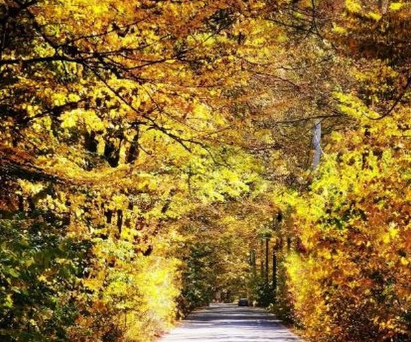 Trasee foto de toamnă în Ilfov: unde să mergi când frunzele se colorează