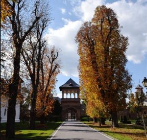 Palatul Mogoșoaia - Peisaj de toamnă