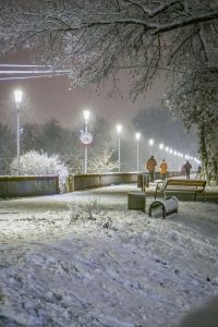 Plimbări pe ninsoare ușoară în Ilfov - Cum sa te bucuri de iarna