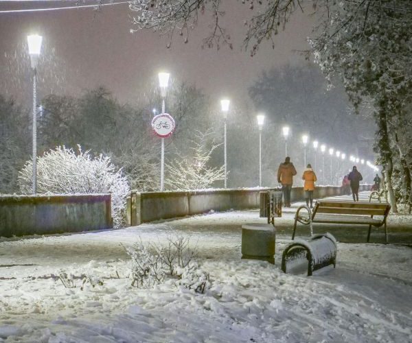 Plimbări pe ninsoare ușoară în Ilfov - Cum sa te bucuri de iarna