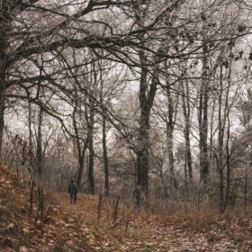 Plimbări pe vreme răcoroasă de septembrie în Ilfov