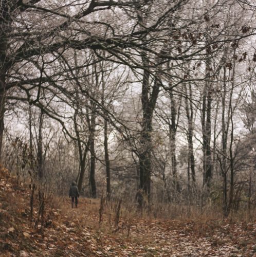 Fotografie peisagistică în lumina de toamnă din Ilfov