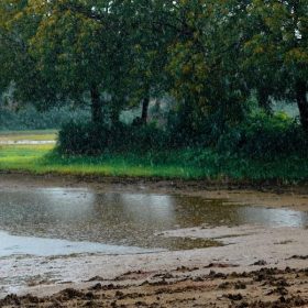 Ploile de toamnă și drumurile din Ilfov