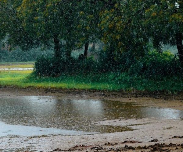 Ploile de toamnă și drumurile din Ilfov