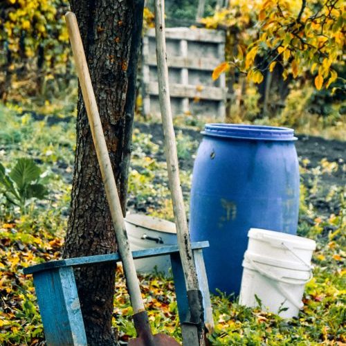 Pregătirea grădinii pentru iarnă după primul ger ușor din Ilfov