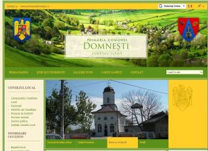 Primaria Domnesti