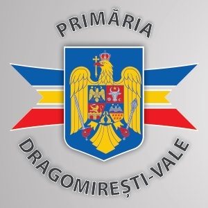 Primaria Dragomirești-Vale