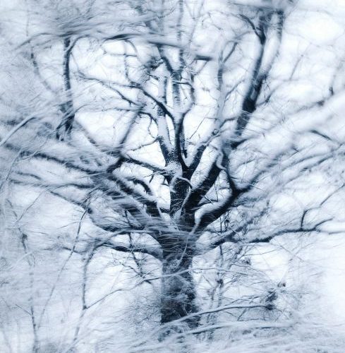 Viscolul în Ilfov: cum te pregatesti și ce faci când bate Crivătul