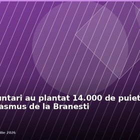200 de voluntari au plantat 14.000 de puieti in Padurea Erasmus de la Branesti