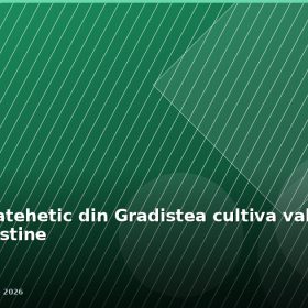 Proiectul catehetic din Gradistea cultiva valorile familiei crestine