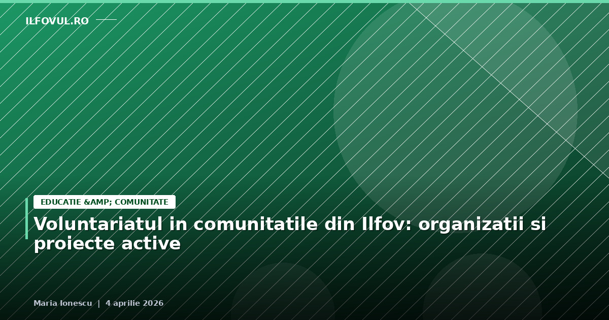 Voluntariatul în comunitățile din Ilfov: organizații și proiecte active