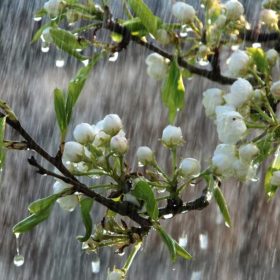 vremea ploioasa primavara