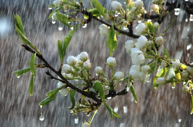 vremea ploioasa primavara