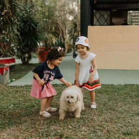 „Ora cu și pentru animale” a ajuns la Școala din Gruiu