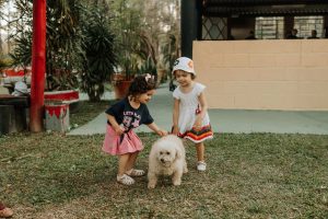 „Ora cu și pentru animale” a ajuns la Școala din Gruiu